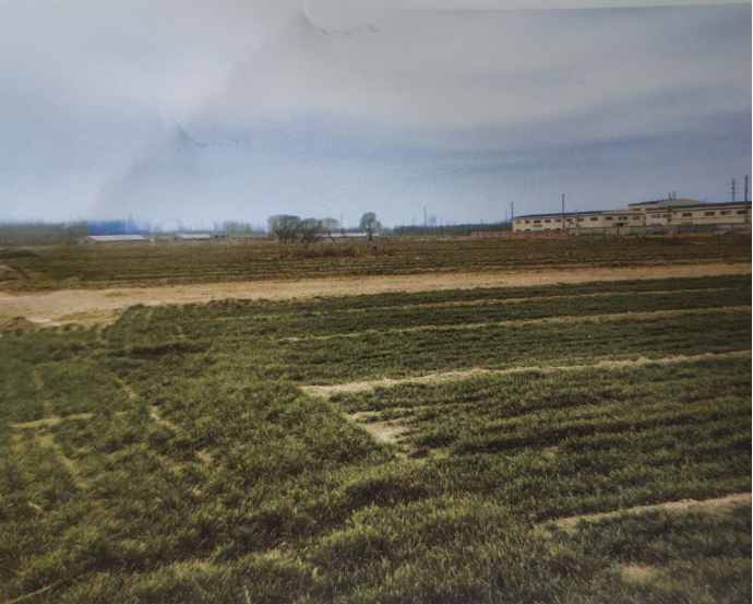 圖片11.png 圖片11.png